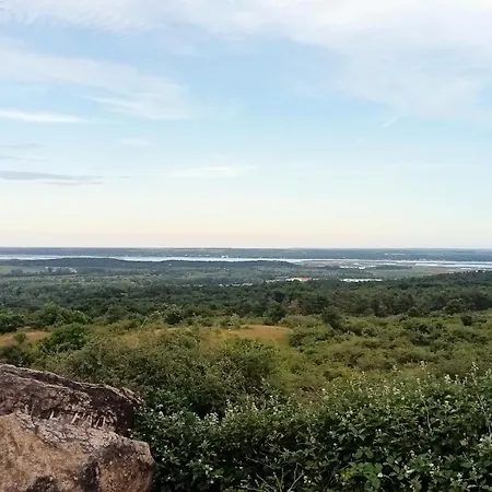 Bibic D Kapolnasnyek